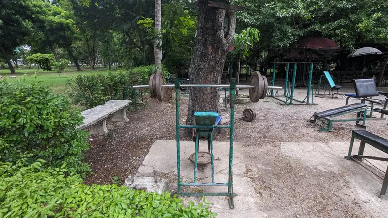 An empty outdoor park gym with rusted weight benches, a barbell rack and plates under trees.